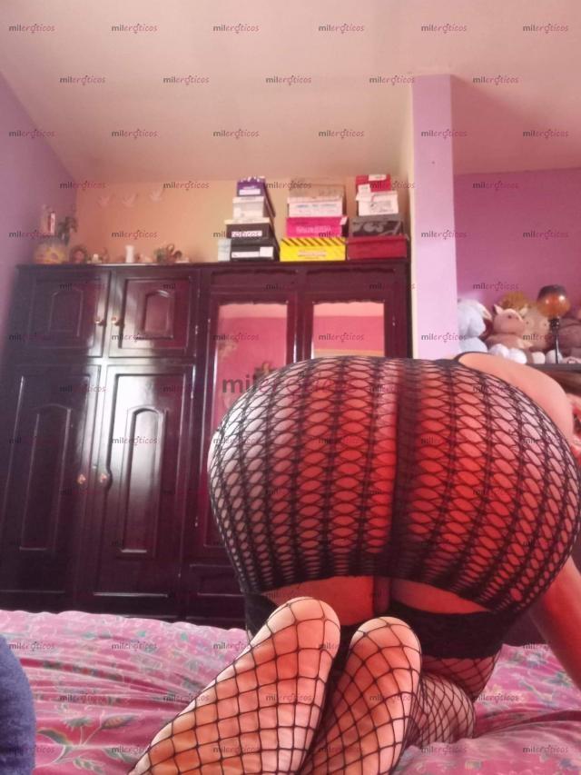 FOTOS DE DONDE ESTAN ESOS PASEÑOS PARA SACARLES LA LECHE SOLO ESTARE 3 DIAS EN EL PASO