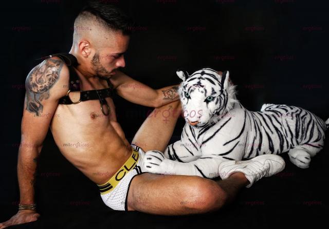 FOTOS DE EXCELENTE DISPOSICIÓN BUENA ERECCIÓN BUEN MORBO SITIO PRIVADO ATENTO