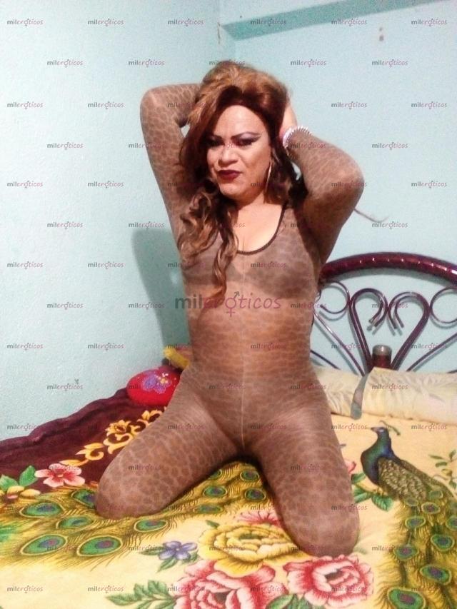 FOTOS DE CHICA TRAVESTI INTER SIN PROBLEMAS CON EL ROL ACTIVA OH PASIVA SOY COMPLACIENTE