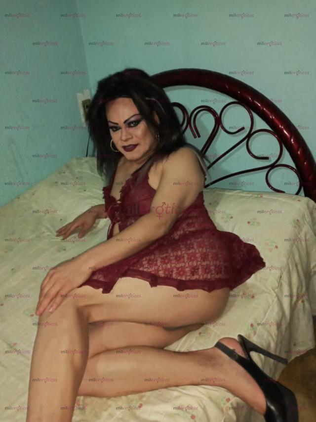 FOTOS DE CHICA TRAVESTI INTER SIN PROBLEMAS CON EL ROL ACTIVA OH PASIVA SOY COMPLACIENTE