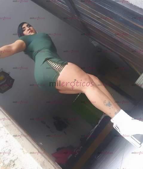 FOTOS DE DE REGRESO LAS PIERNAS DEL MILLON EN TU CD SUPER DOTADA AL NATURAL