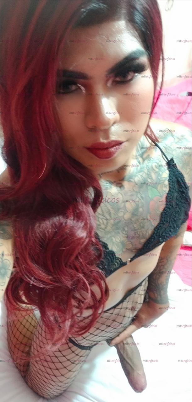 FOTOS DE VEN DISFRUTA MIS GRANDES NALGAS Y MI VERGA EN MI APTO VIVO SOLITA