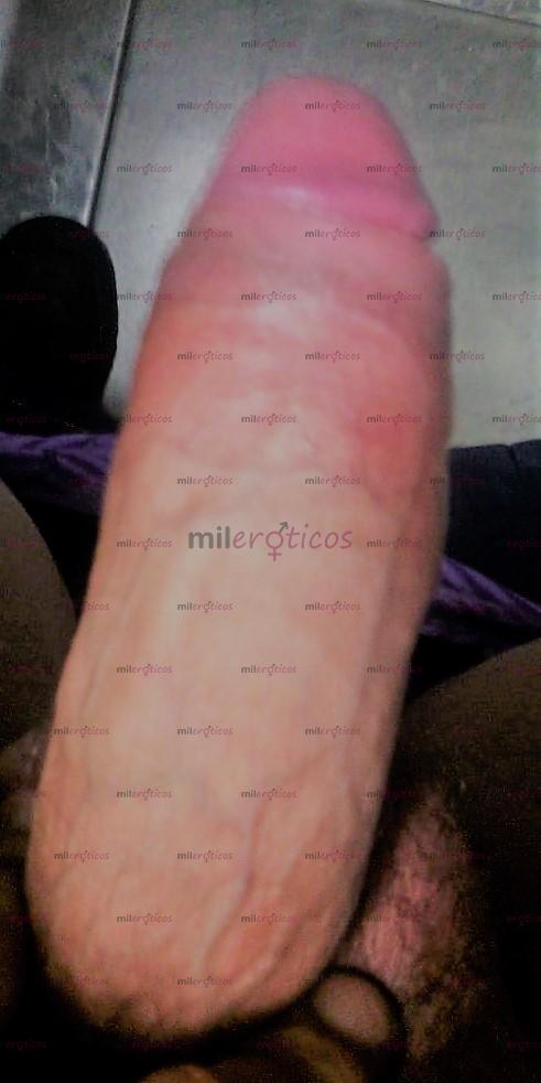 FOTOS DE DE REGRESO A QUERETARO MAS PUTONA Y PERVERTIDA QUE NUNCA, ANIMATE Y MARCA...