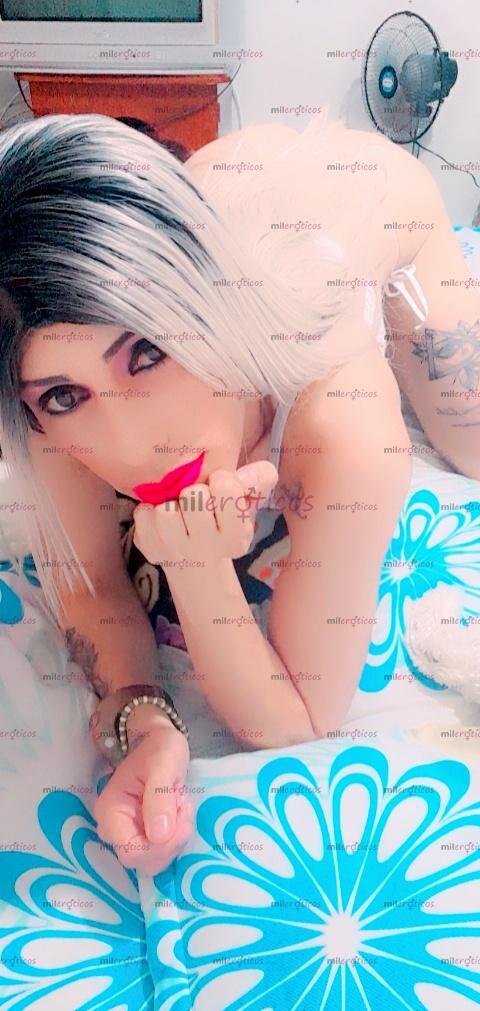 FOTOS DE TU MONA ESTOY EN CUBA ARRECHA 20 CM LECHERA CON SITIO PRIVADOD