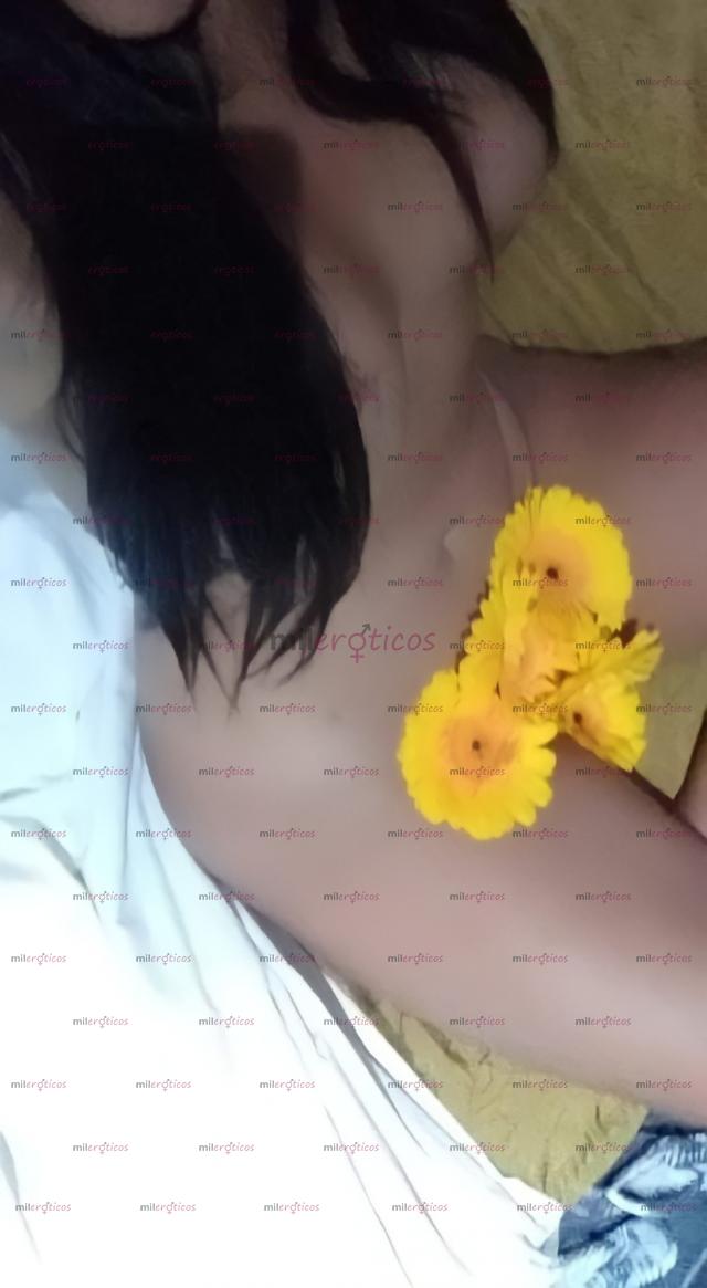 FOTOS DE ESTOY EN TU CIUDAD DISPONIBLE 24H UNA CALIENTE LATINA AMELIE! CON APARTAMENTO24H