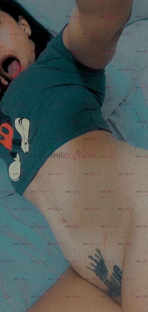 FOTOS DE 80 LA HORA POR HOY TRIPLATO APROVECHA SIN AFÁN POR POCOS DÍAS