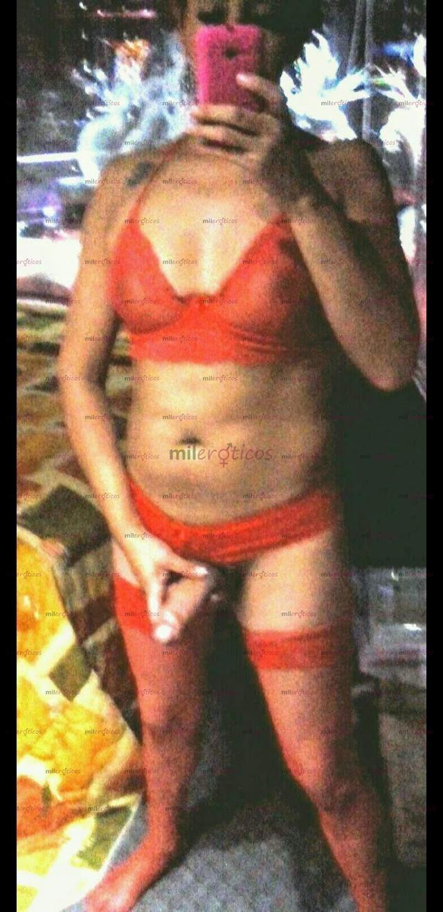 FOTOS DE DELICIOSO CACHOTE LECHERITO PARA CUMPLIR TU FANTASÍA...