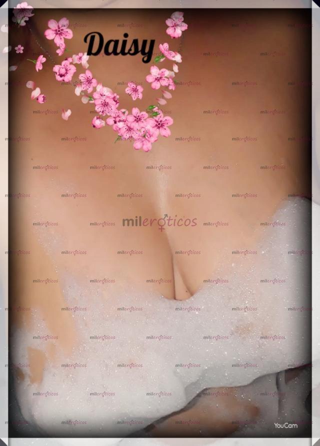 FOTOS DE VAG.VELLUDA, SERVICIO ANAL, SITIO DSCRETO