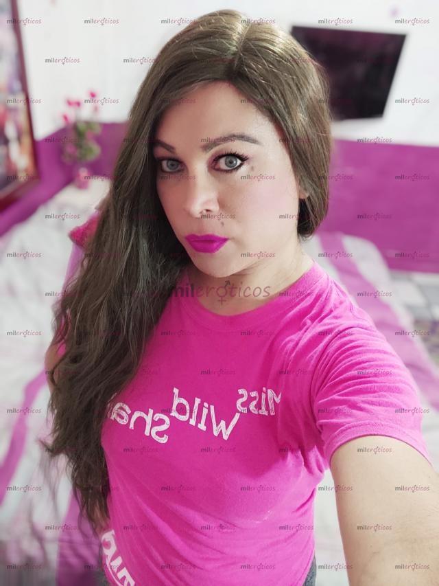 FOTOS DE LOS MEJORES MAMELUCOS Y APRETONES DISPONIBLE 24 HRS