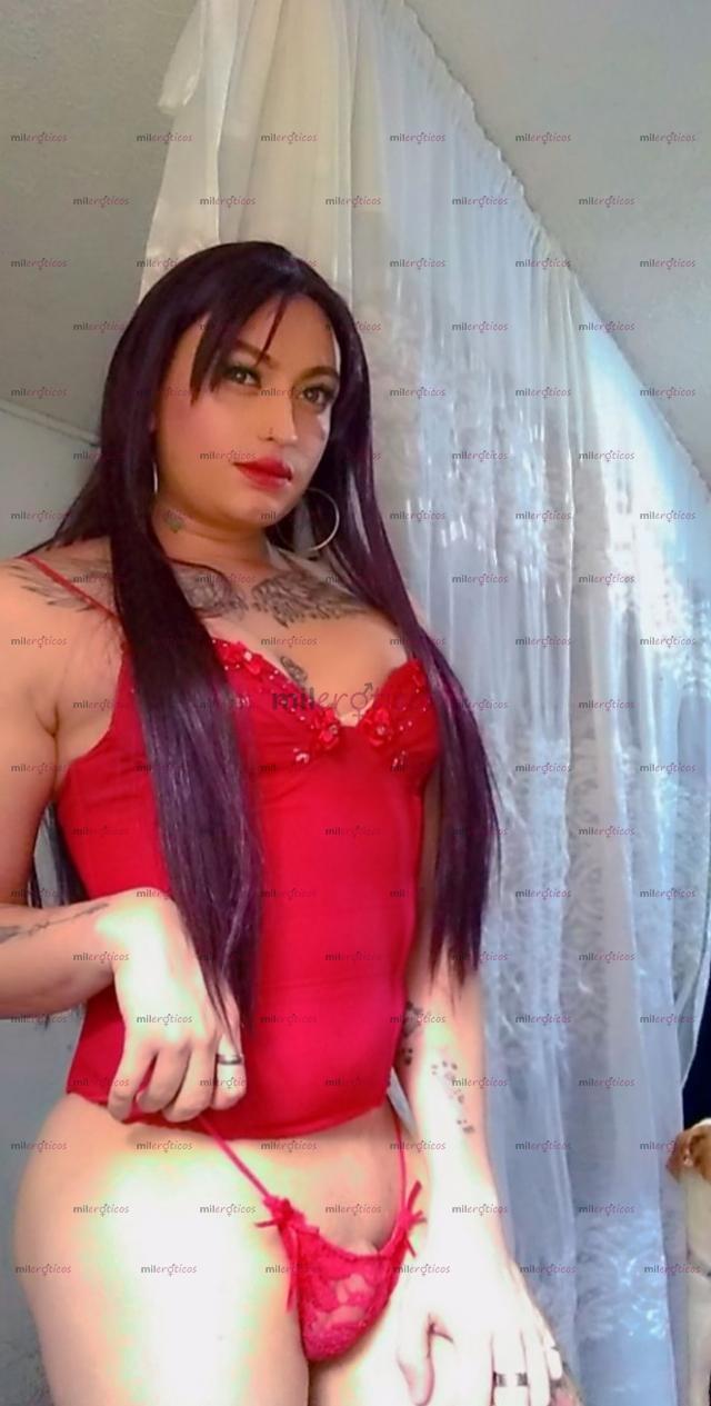 FOTOS DE TÚ BELLA TRANS TATUADA, ARRECHA, COMPLACIENTE, SITIO 24 HRS