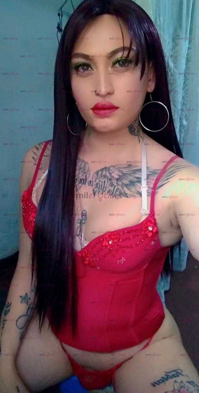 FOTOS DE TÚ BELLA TRANS TATUADA, ARRECHA, COMPLACIENTE, SITIO 24 HRS