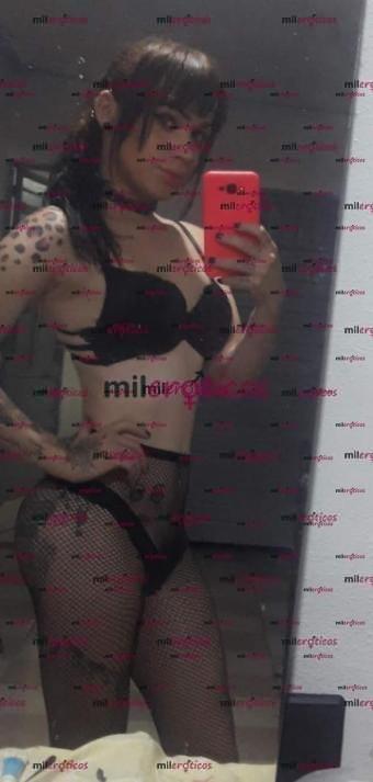 FOTOS DE TRANS CON HERMOSO CARAMELO. SERVICIO DE CALIDAD TOTAL