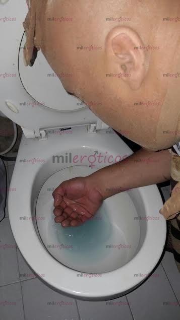 FOTOS DE SIRVIENTE DE BAÑO Y BIDET HUMANO,HUMILLACIONES PRIVADAS O PUBLICAS SUMICION