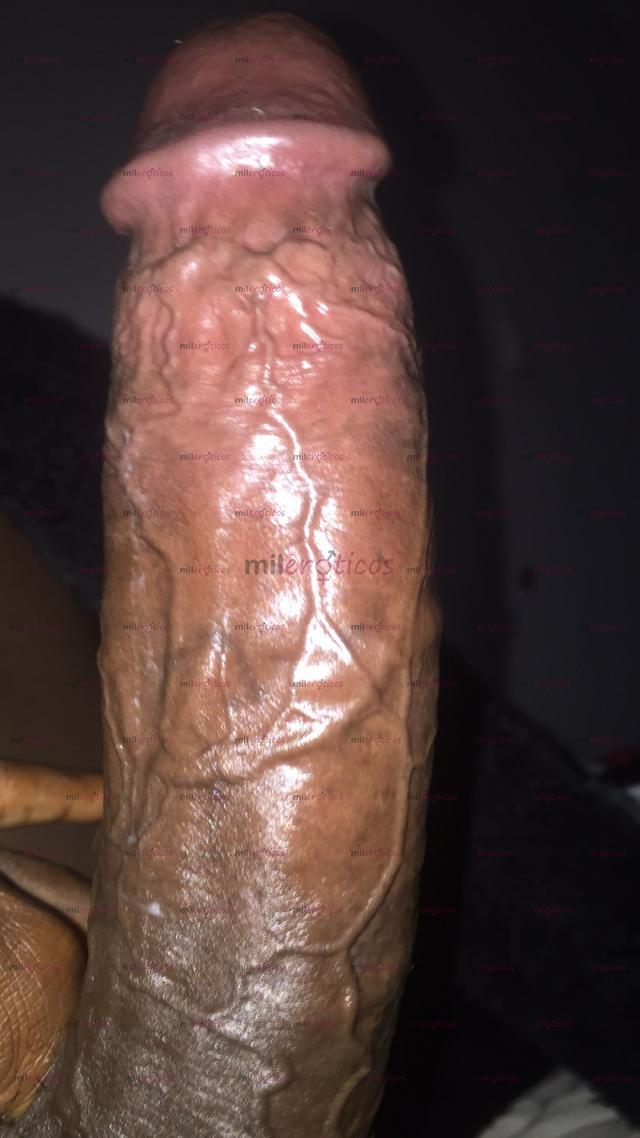 FOTOS DE PARA LO QUE QUIERE, AQUÍ TENGO LO QUE NECESITAS