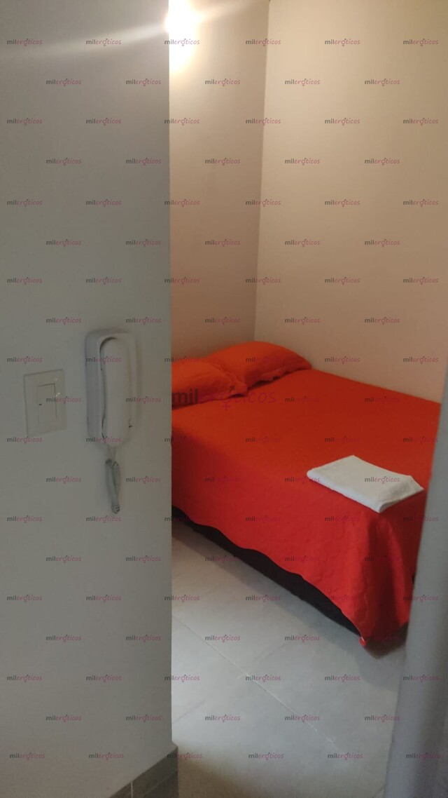 FOTOS DE SE BUSCAN ESCORTS PARA APARTAMENTO DISCRETO Y PRIVADO CON HORARIO O INTERNAS