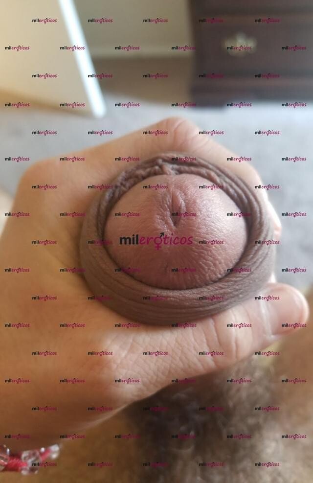 FOTOS DE SOY ESA CHICA TRANS QUE TANTO ANHELAS COJERTE