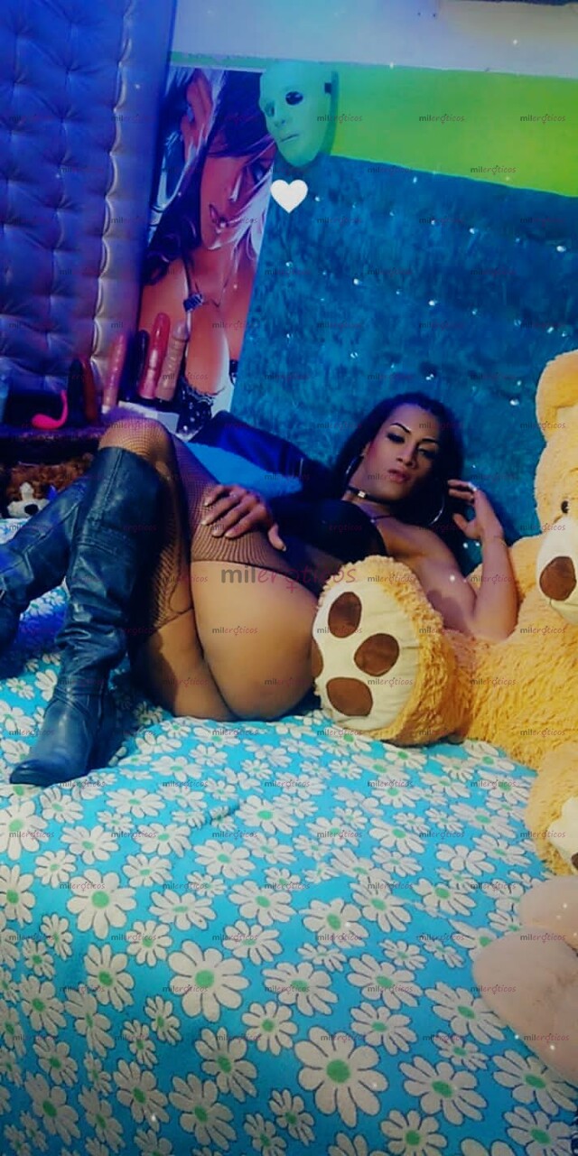 FOTOS DE TRANS NUEVA COMETE ALGO DELICIOSO VERSATIL Y VERGONA