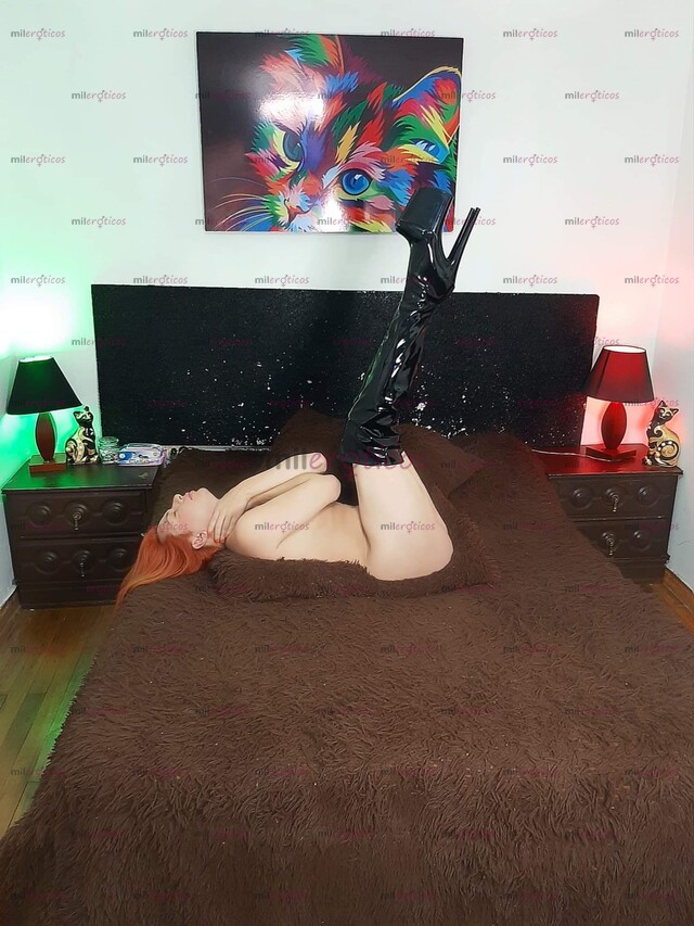 FOTOS DE GRATIS PORNO CASERO EN LOS ESTADOS DE WHASTAPP 3222318711 BOGOTA CHAPINERO.