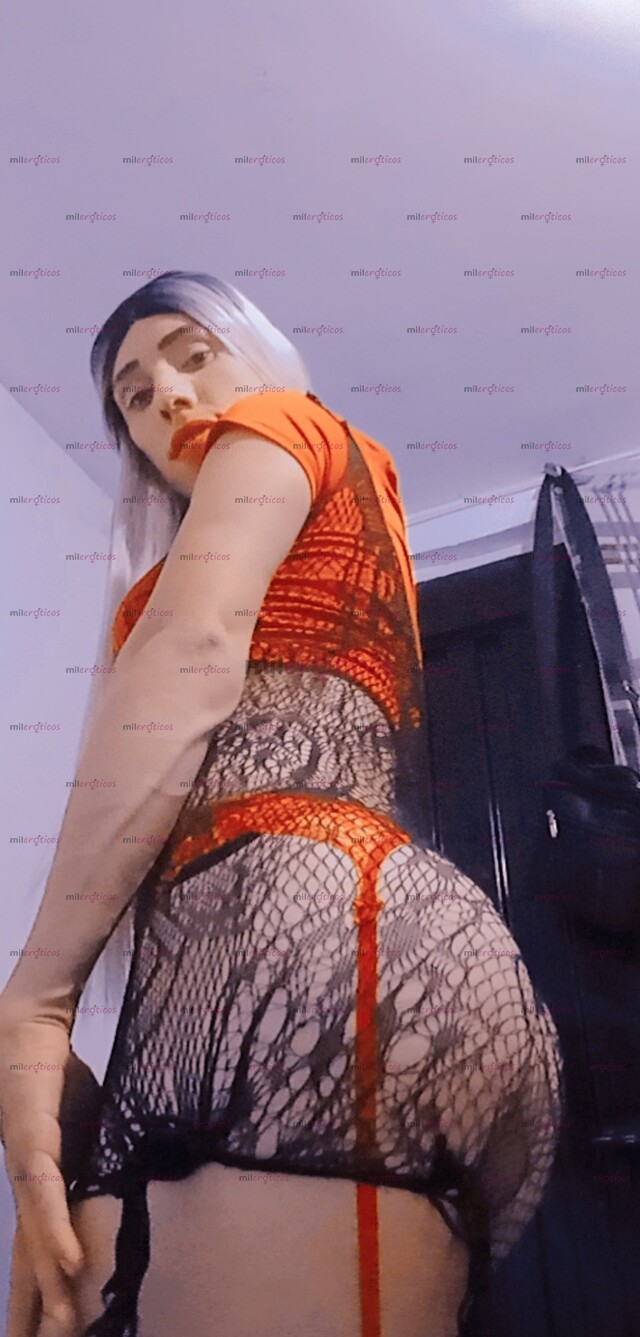 3170643777 - ESTOY EN CUBA TU POLLA 24 AÑOS CON FULLL LECHE AMORES SOY  DESCOMPLICADA (23108597) - MILERÓTICOS