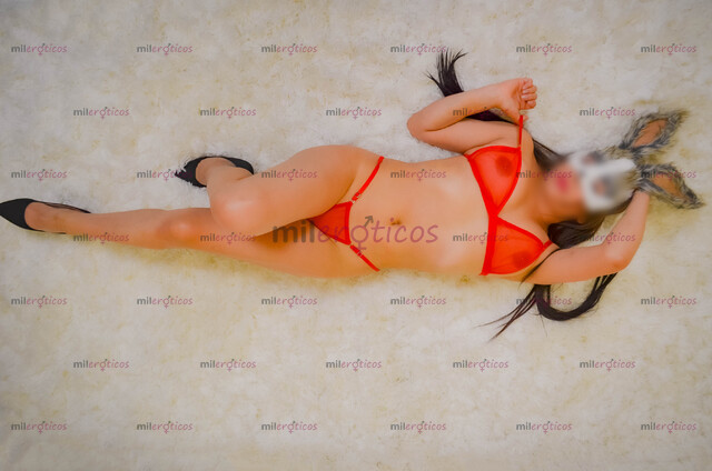 FOTOS DE CORFERIAS,ESCORT BOGOTA ZONAS HUMEDAS PARQUEADERO