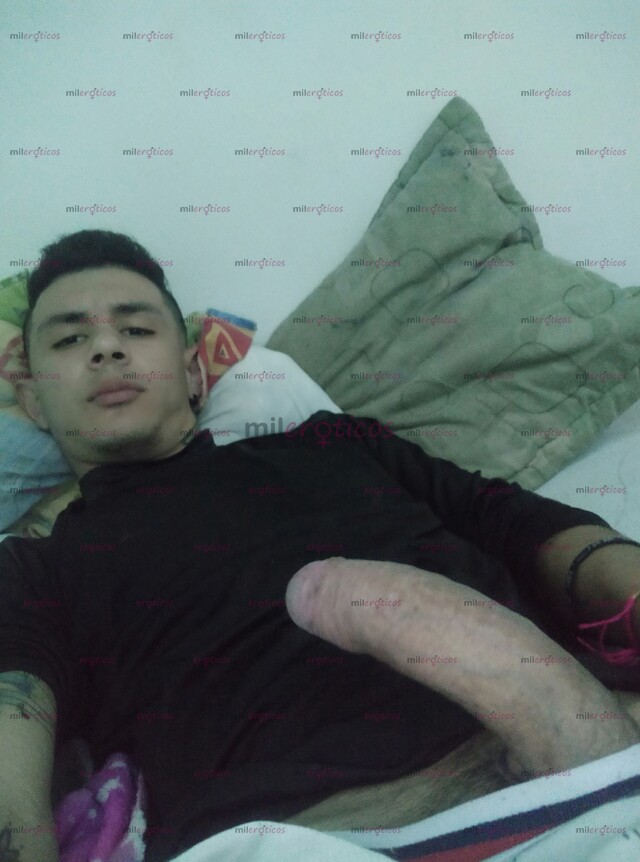 FOTOS DE VERSÁTIL MÁS ACTIVO DOTADO 19CM COMPLACIENTE C S