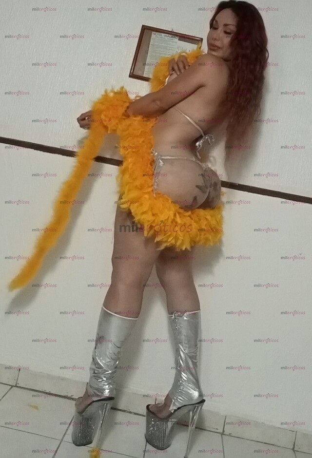 FOTOS DE HOY PARA TI EXUBERANTE TRANSEXUAL CON MUCHO EQUIPO DE PLACERS Y BUEN TRATO