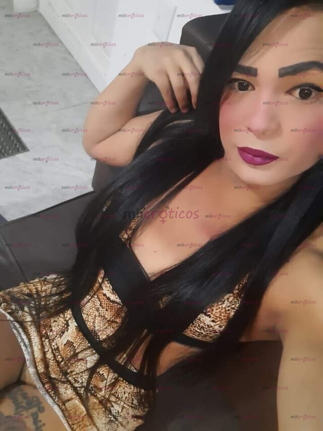 FOTOS DE PERRA LECHERA VERGONA TRAGONA SUMISA BN ACTIVA