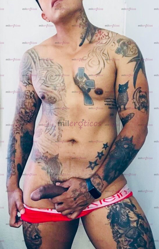 FOTOS DE GÓMEZ PALACIO Y LERDO EL MEJOR ACOMPAÑANTE