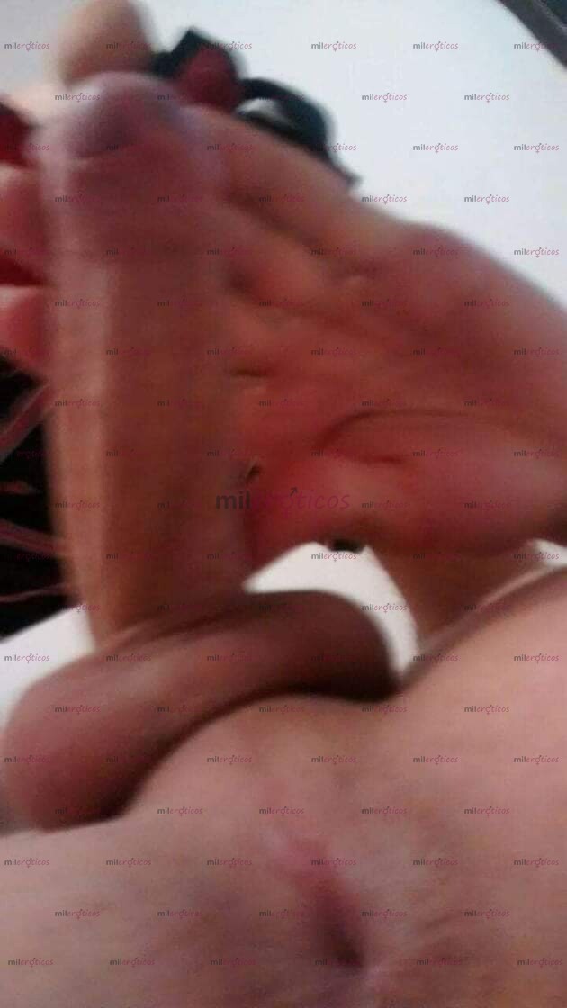 FOTOS DE ZAEMY NUEVA CHICA TRANS CON APARTAMENTO SOLITA ACTIVA PASIVA