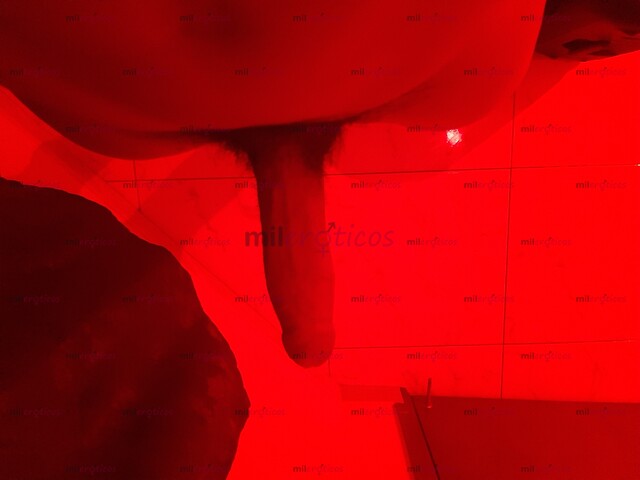 FOTOS DE ACTIVO VERGON DE 20 CM CON SITIO Y ARRECHO