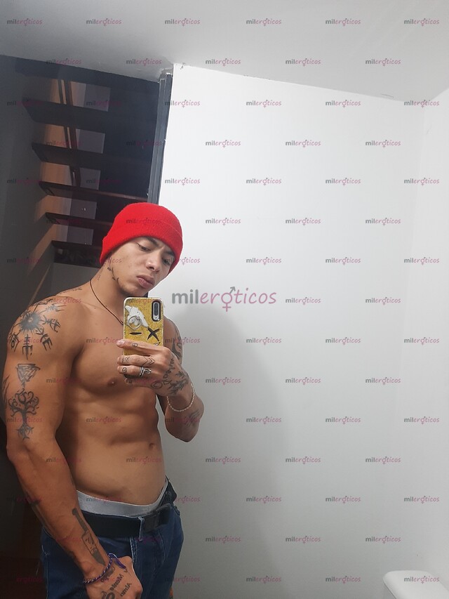 FOTOS DE ACTIVO VERGON DE 20 CM CON SITIO Y ARRECHO