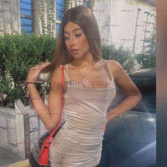 FOTOS DE NATASHA TRANSEXUAL PUTITA CACHONDA SCORT DELUXE