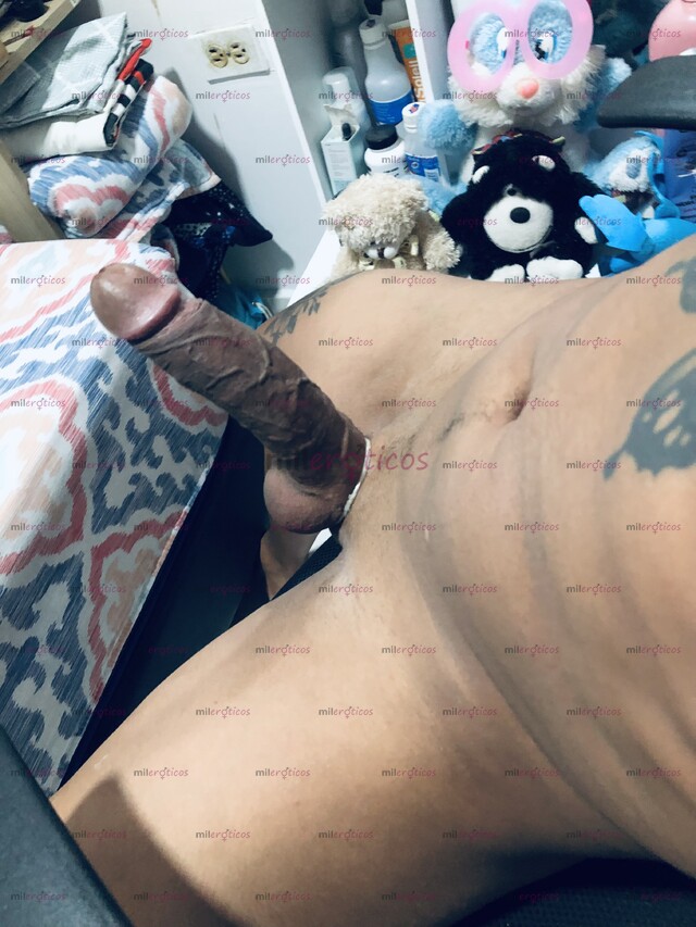 FOTOS DE MORENO COSTEÑO DOTADO 20CM REALES PARA COMPLACERTE