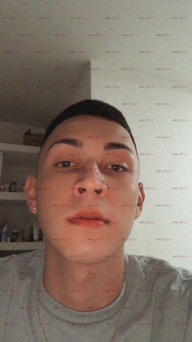 FOTOS DE MORRO COLOMBIANO ACTIVO MACHIN PARA DARTE MI LECHE