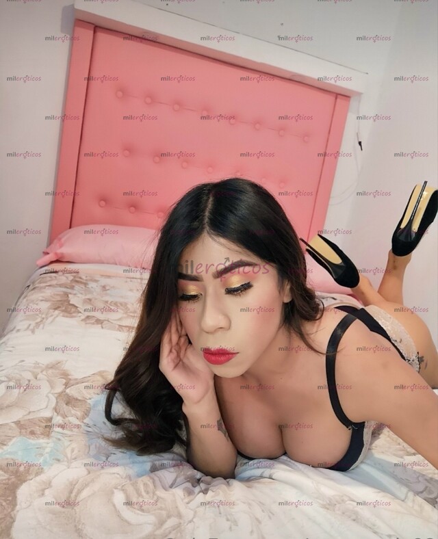 FOTOS DE ACEPTO TARJETA DE CRÉDITO & DÉBITO DISPONIBLE PETITETRANS