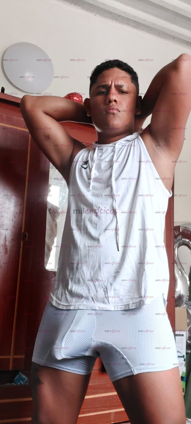 FOTOS DE RECIEN LLEGADO MACHO ARRECHO FULL DOMINANTE, LECHERO DISPONIBLE .