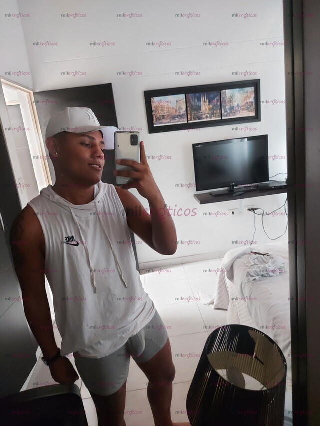 FOTOS DE RECIEN LLEGADO MACHO ARRECHO FULL DOMINANTE, LECHERO DISPONIBLE .