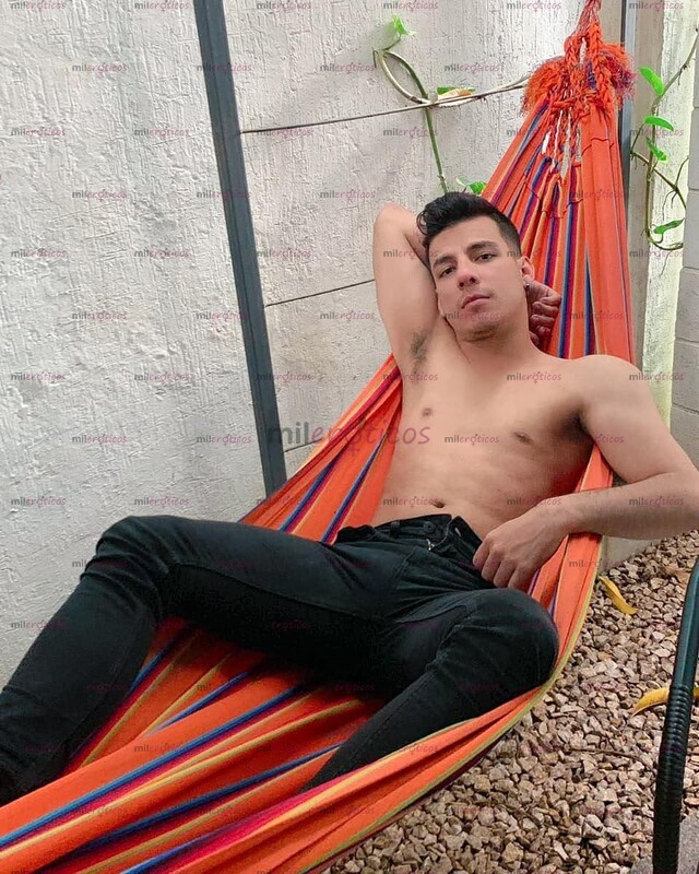 FOTOS DE POLLO VERGÓN VERSÁTIL NUEVO EN TU CIUDAD