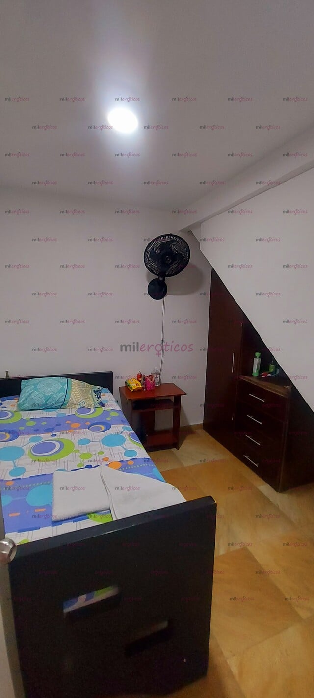 3022835961 - APARTAMENTO PARA TRABAJAR INDEPENDIENTE EN IBAGUE (23817074) -  MILERÓTICOS