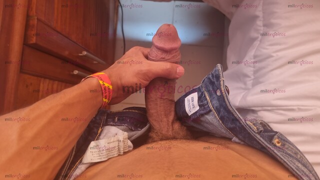 FOTOS DE VERGON, ARRECHO, 21 CM, COSTEÑO, RELAJADO