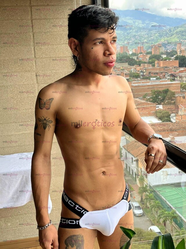 FOTOS DE VERGON, ARRECHO, 21 CM, COSTEÑO, RELAJADO