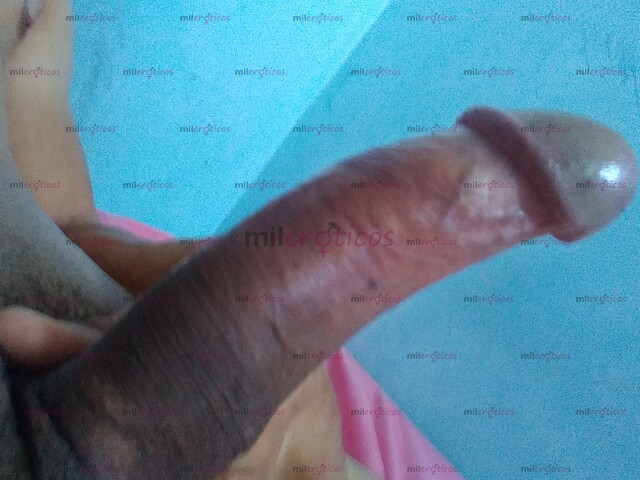 FOTOS DE ADONIS VERGA GRANDE GRUESA 22 CM PARA DAMAS Y PAREJAS