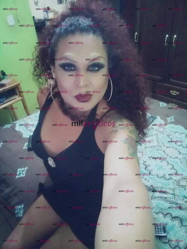 FOTOS DE ¡OJO! VERGUDA Y EXELENTE MAMADORA DE VERGA WEVOS Y CULO!