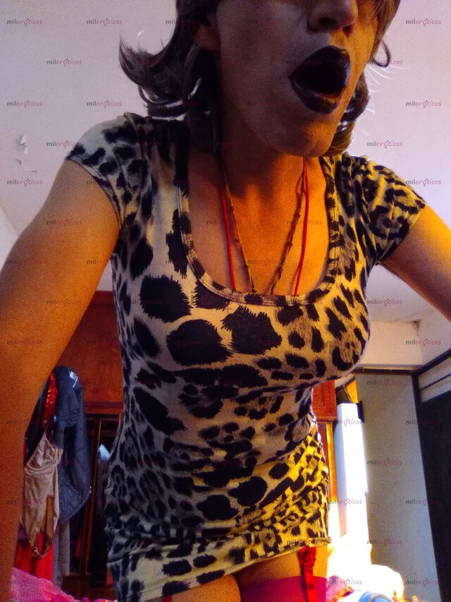 FOTOS DE NENA TRAVESTI D CLOSET BUSCA SEÑOR SOLVENTE