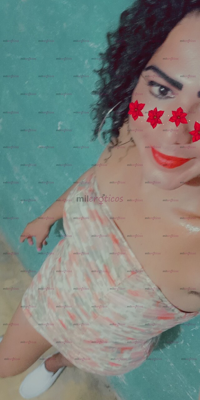 FOTOS DE NATALIADISPONIBLE 24 HORAS BELLA TRANS VERGONA