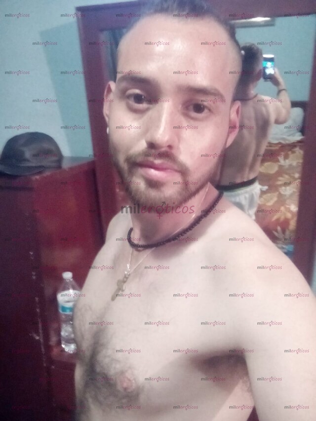 FOTOS DE SONORENSE ACTIVO VERGON LECHERO CORTA TEMPORADA