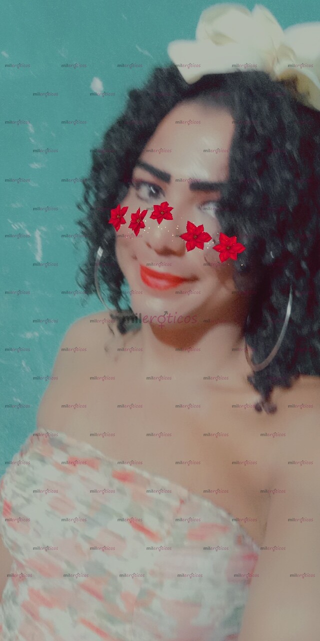 FOTOS DE NATALIADISPONIBLE 24 HORAS BELLA TRANS VERGONA