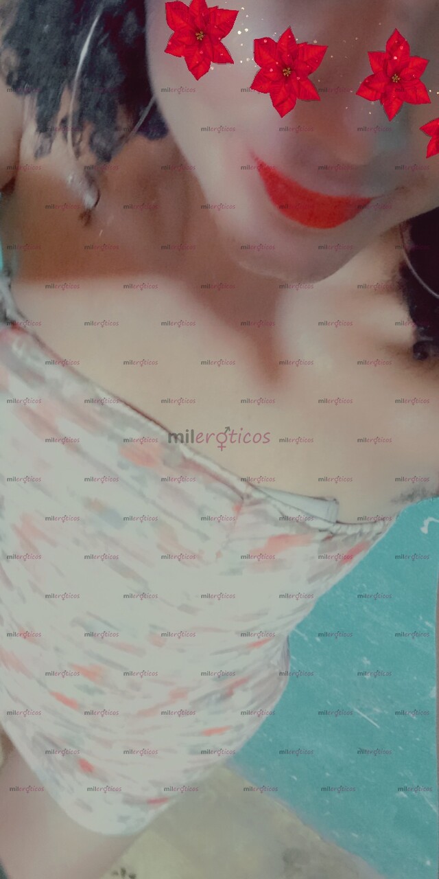 FOTOS DE NATALIADISPONIBLE 24 HORAS BELLA TRANS VERGONA