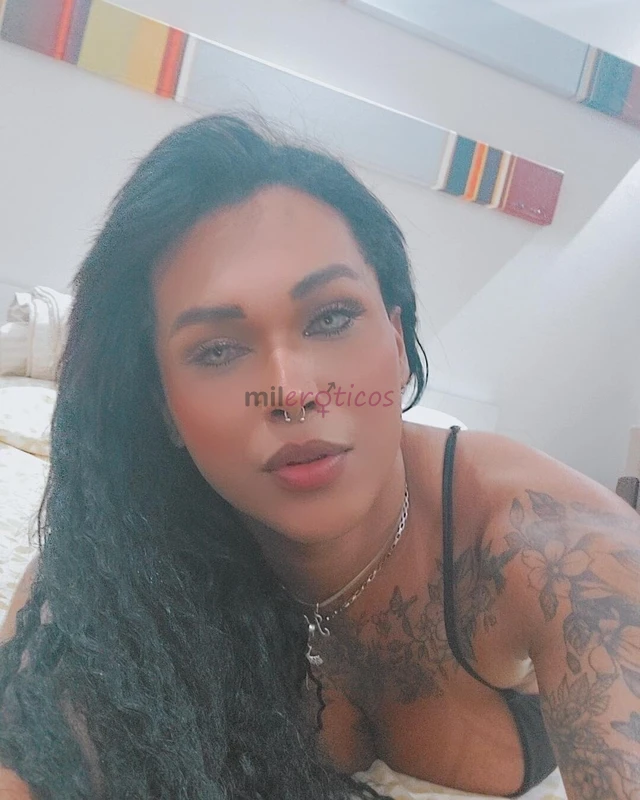 Uma bonequinha ativa passiva 20 cm de pica com muito leitinho quente com aquela dominacao com aquela massagem bem gostosa para te satisfazer e gozar g...