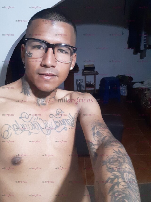 FOTOS DE APROVECHA LA PROMOCION DE FIN DE AÑO FULL ARRECHO LECHERO CON GANAS